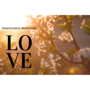 Mindfulness Breathing